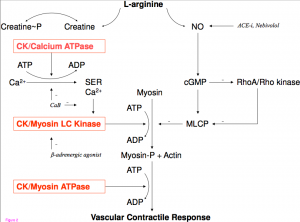 The Biochemical Pathway